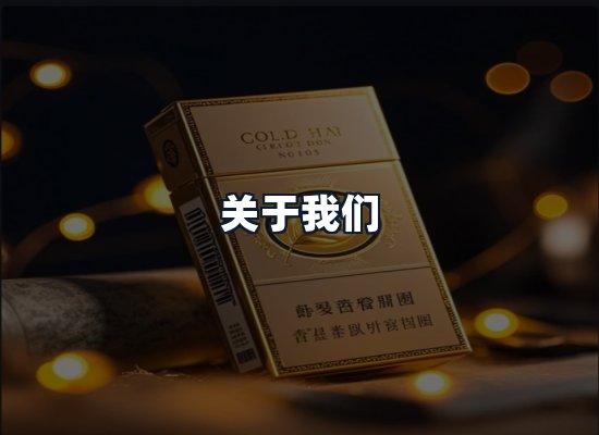 关于我们